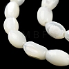 Natural Trochus Shell Beads Strands BSHE-E030-02C-4