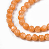 Natural Freshwater Shell Beads Strands SHEL-N003-24-B07-3