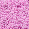 Macaron Color Opaque Frosted Glass Seed Beads SEED-K009-12B-05-3