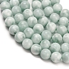 Glass Beads Strands G-L642-B18-10mm-4