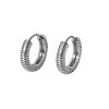 304 Stainless Steel Hoop Earrings FS-WG4BF8F-02-1