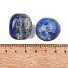 Natural Lapis Lazuli Beads G-G348-01B-06-3