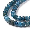 Faceted Rondelle Natural Apatite Bead Strands G-F289-48B-5