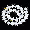 Natural Freshwater Shell Beads Strands X-SHEL-S278-01D-01-2