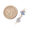 Natural Fluorite Chip & Natural Cultured Freshwater Pearl Rice Beaded Connector Charms PALLOY-JF03707-06-2