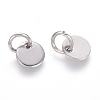 304 Stainless Steel Charms STAS-I124-01A-P-2