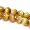 Natural Gold Tiger Eye Beads Strands X-G-C076-4mm-1AA-1