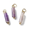 Natural Amethyst Pendants STAS-C120-01G-01-1