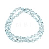 Transparent Glass Beads Strands GLAA-H038-03C-2
