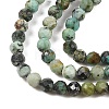 Natural African Turquoise(Jasper) Beads Strands X-G-P472-01-4