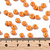 6/0 Glass Seed Beads SEED-S058-A-F429-4