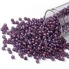 TOHO 8/0 Round Beads SEED-TR08-0625F-1