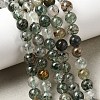 Natural Gemstone Beads Strands G-D359-B02-6mm-1