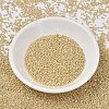 MIYUKI Delica Beads SEED-X0054-DB1571-2