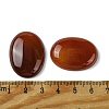 Natural Red Agate Cabochons G-L601-03C-01-3