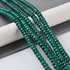 Synthetic Turquoise Beads Strands G-Q088-B01-01-2