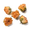 Brass Epoxy Resin Pendants FIND-D043-01G-06-1