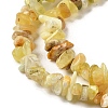 Natural Yellow Opal Chip Beads Strands G-G905-15-4