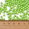 Baking Painted Glass Seed Beads SEED-C004-01B-4