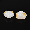 Handmade Lampwork Beads LAMP-T026-02B-03-3
