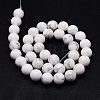 Natural Howlite Beads Strands X-TURQ-G090-6mm-2