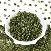 Picasso Glass Seed Beads SEED-N010-01E-2