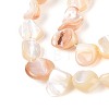 Natural Sea Shell Beads Strands SSHEL-N041-02A-3