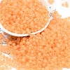 6/0 Luminous Glass Seed Beads SEED-NH0001-01E-2