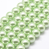 Polished Round Grade A Shell Pearl Bead Strands BSHE-M027-6mm-21-1