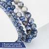 GOMAKERER 4 Strands 4 Styles Natural Blue Spot Jasper Beads Strands G-GO0001-48-3