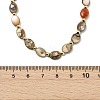 Natural Paua Shell Oval Beaded Necklaces with Brass End Chains for Men Women NJEW-JN06043-4