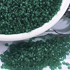 MIYUKI Round Rocailles Beads SEED-G007-RR0147F-1