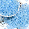 Transparent Colours Glass Seed Beads SEED-P008-01B-02-1