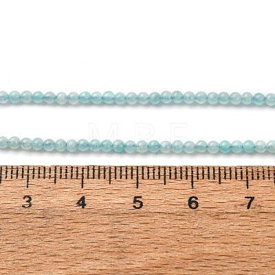 Natural Amazonite Beads Strands G-A276-A01-2mm-1