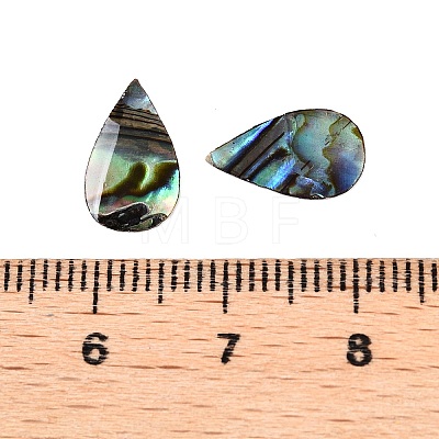 Natural Paua Shell Teardrop Cabochons SSHEL-T017-12-1