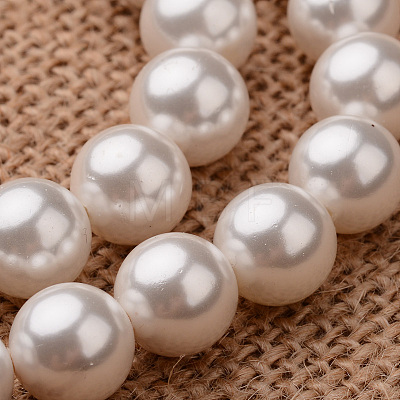 Polished Round Grade A Shell Pearl Bead Strands X-BSHE-M027-10mm-28-1