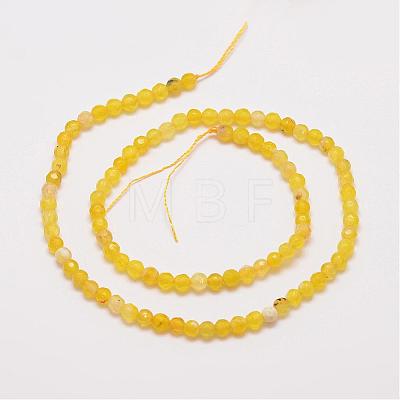 Natural Agate Bead Strands G-G882-4mm-A04-1