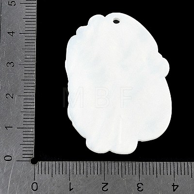 Acrylic Pendants OACR-V001-03C-1