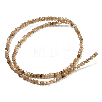 Natural White Shell Dyed Beads Strands BSHE-Z005-03A-1