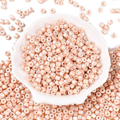 Baking Paint Pearlized Glass Seed Beads SEED-T008-03C-1