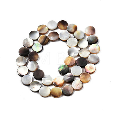 Natural Black Lip Shell Beads Strands SSHEL-N003-151B-1