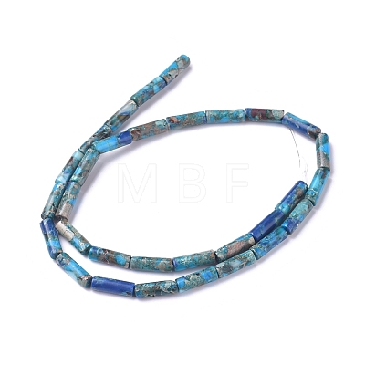 Assembled Synthetic Turquoise and Imperial Jasper Beads Strands G-D0006-A01-1