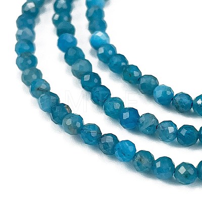 Natural Apatite Beads Strands X-G-Z057-B02-02-1