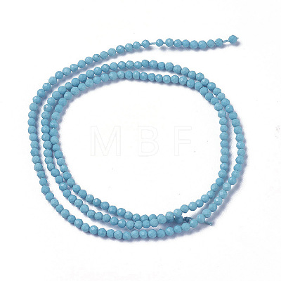 Synthetic Turquoise Beads Strands G-F596-39-3mm-1