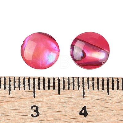 Natural Abalone Shell/Paua Shell Resin Cabochons SSHEL-K003-8MM-01-1