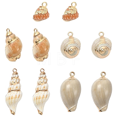 10Pcs 5 Styles Electroplated Natural Mixed Shell Pendants BSHE-YW0001-22-1