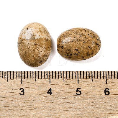 Natural Picture Jasper Cabochons G-B085-06D-03-1