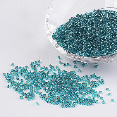12/0 Grade A Transparent Silver Lined Round Glass Seed Beads X-SEED-A022-F13-51-1