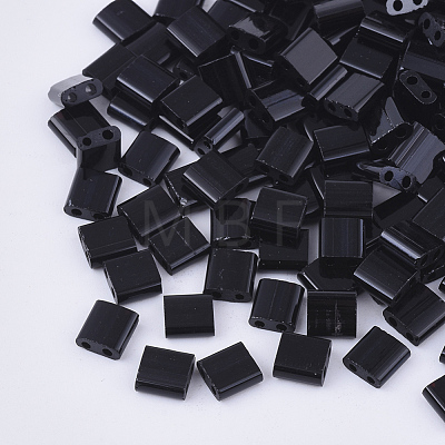 FGB 2-Hole Glass Seed Beads X-SEED-S031-L-049-1