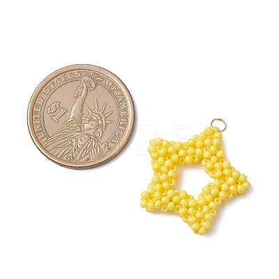 Glass Seed Beaded Star Pendants PALLOY-MZ01116-1